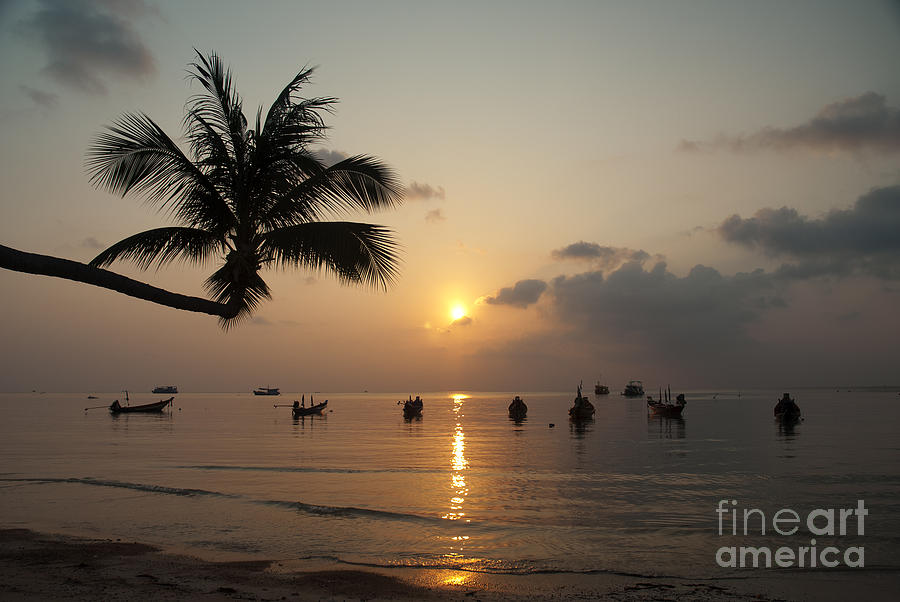 Palm Tree And Boats At Sunset On Tropical Island #1 Photograph by JM Travel Photography