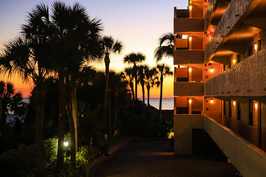 Palm Tree Sunset Photograph