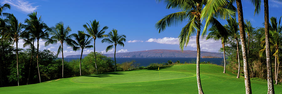 Palm Trees In A Golf Course, Wailea #1 Photograph by Panoramic Images