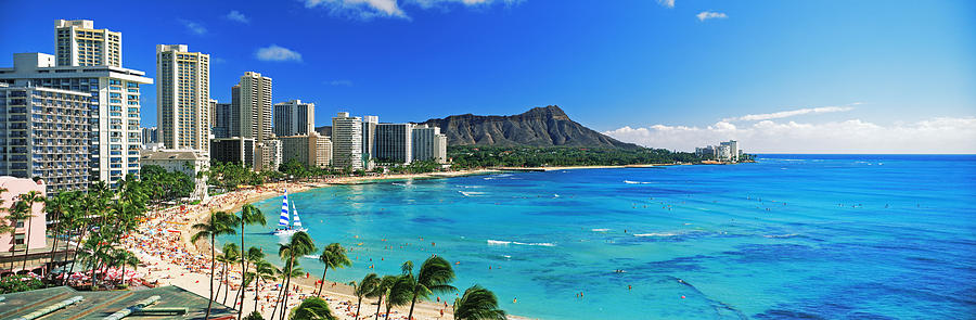 Palm Trees On The Beach, Diamond Head #1 Photograph by Panoramic Images