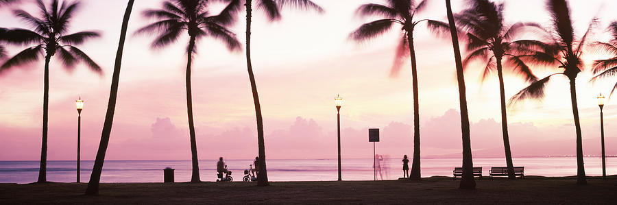 Palm Trees On The Beach, Waikiki #1 Photograph by Panoramic Images