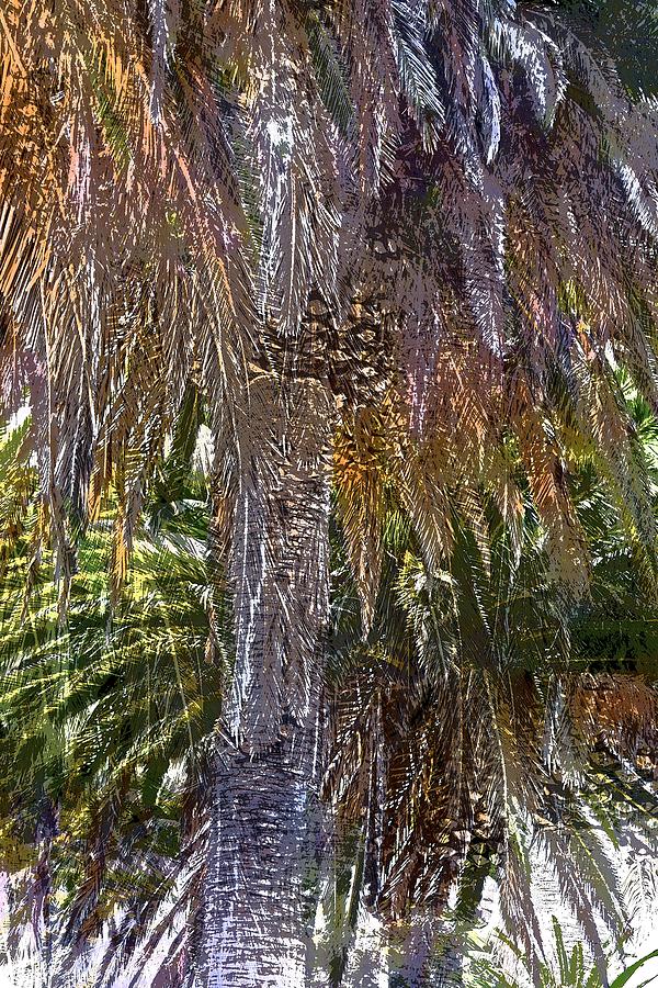Palms 6 #1 Photograph by Pamela Cooper