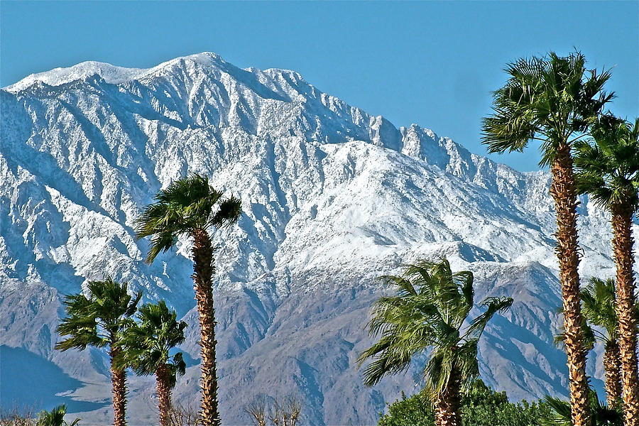 Palms and Peaks in Winter from Desert Hot Springs ,California Photograph by Ruth Hager