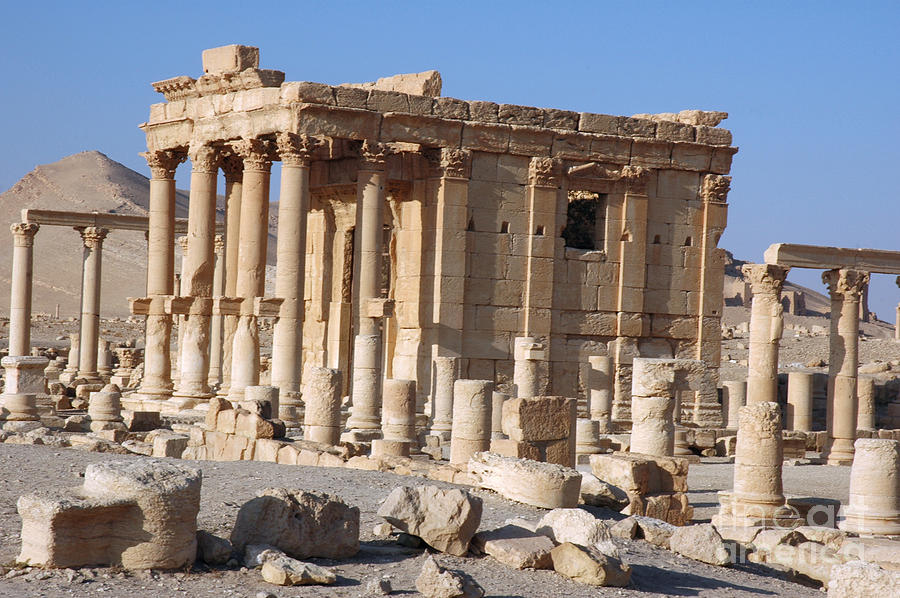 Palmyra, Syria #1 Photograph by Catherine Ursillo