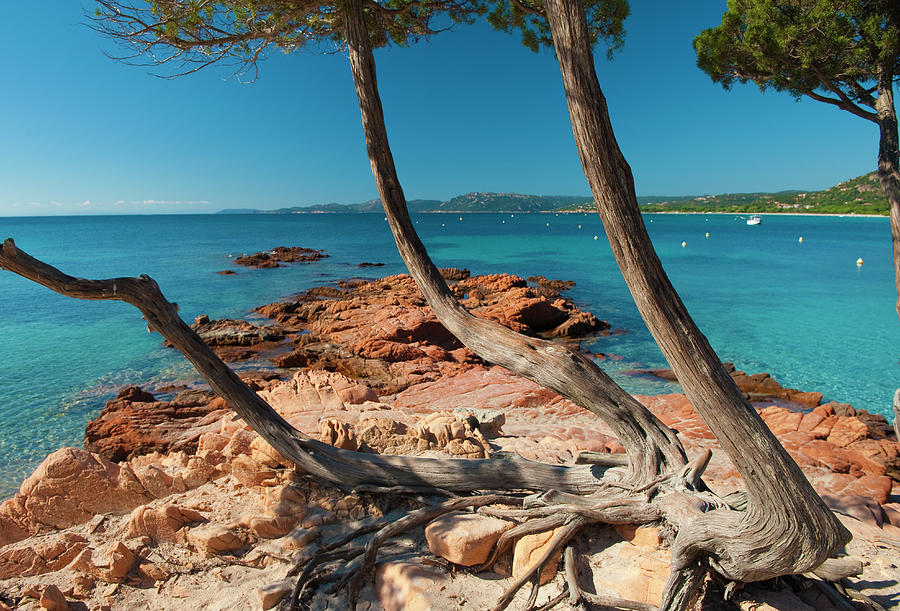 Palombaggia Beach, Corsica #1 Photograph by Jean-pierre Pieuchot