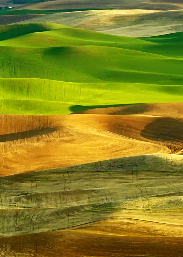 Palouse Rolling Hills by Photos By By Deb Alperin