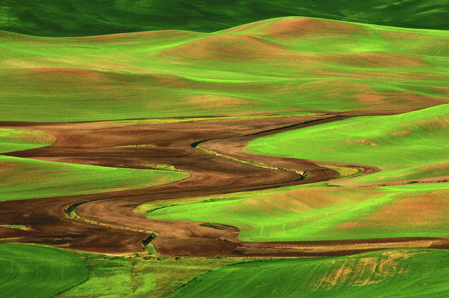 Nature Photograph - Palouse View From Steptoe Butte #1 by Michel Hersen