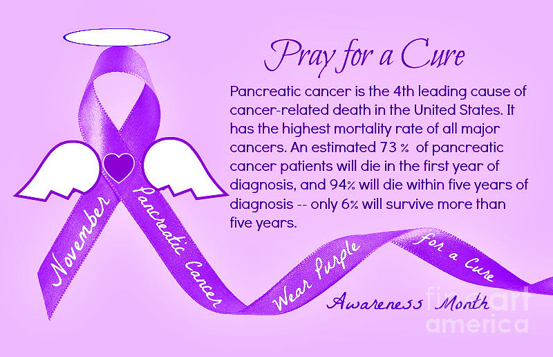 Cancer Photograph - Pancreatic Cancer Awareness #2 by Jean Wright
