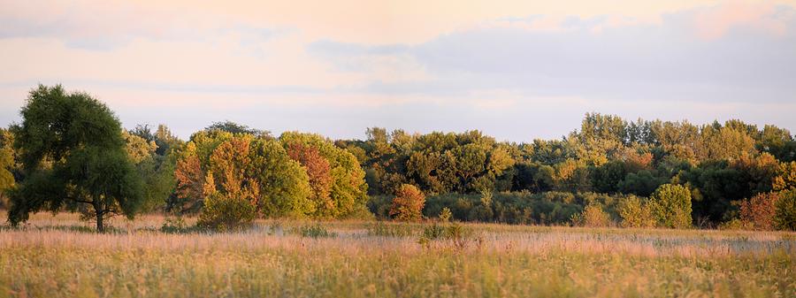 Panoramic Autumn #1 Photograph by Bonfire Photography