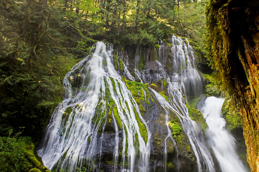 Panther Creek Falls 2 Photograph by Calazone's Flics - Fine Art America