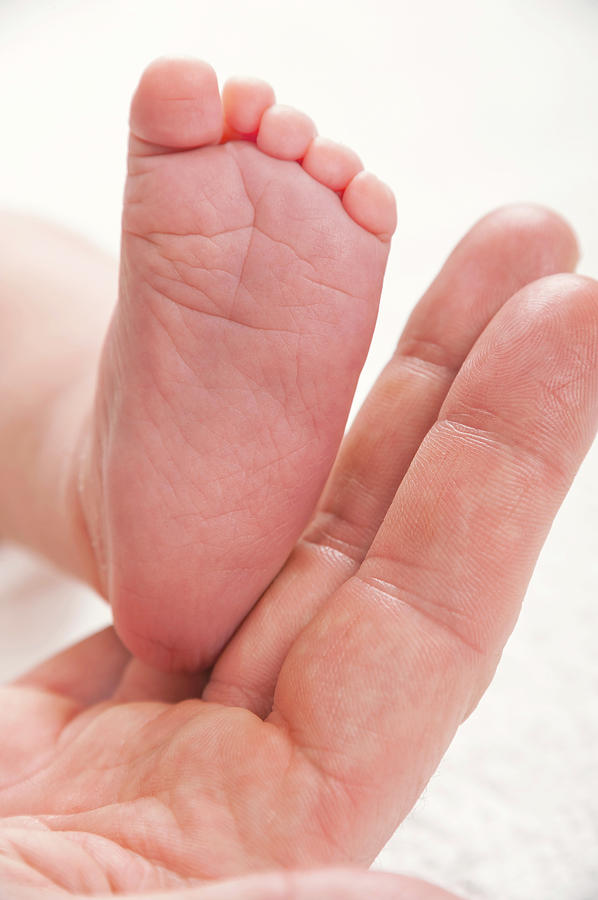 Parent Holding Newborn Babys Foot #1 Photograph by Lea Paterson/science Photo Library