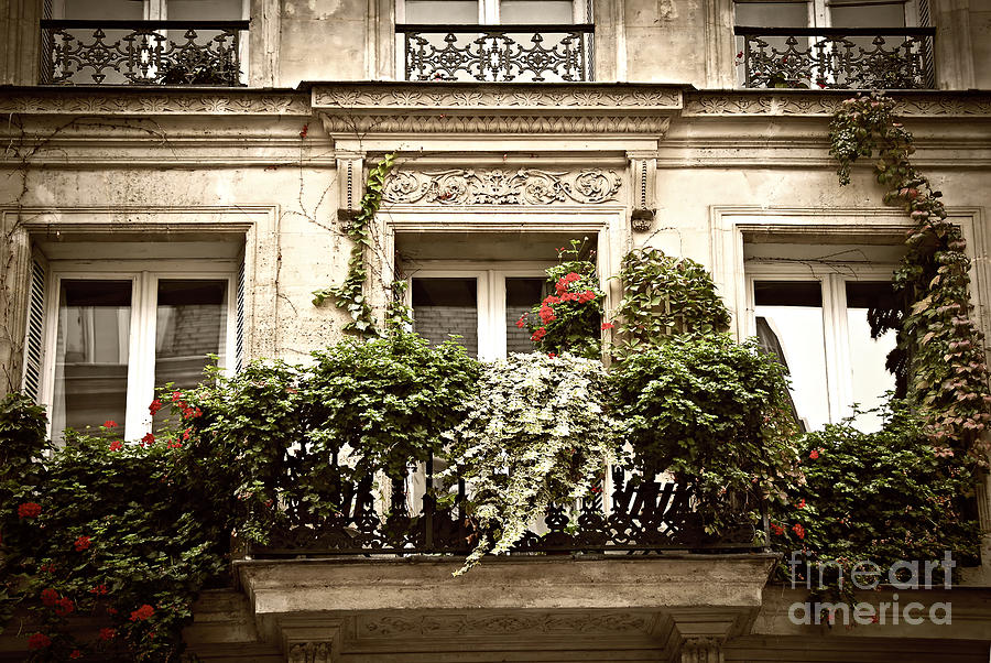 Paris windows 1 Photograph by Elena Elisseeva