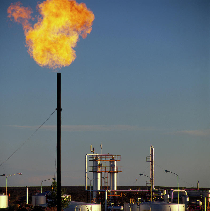 Oil Photograph - Part Of An Oil Refinery #1 by Sindo Farina/science Photo Library