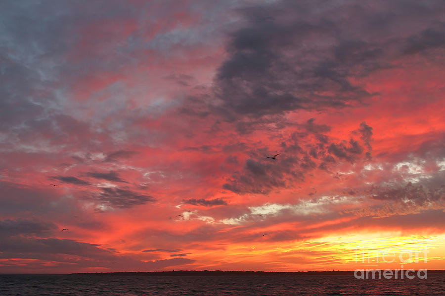 Pastel Sunset #1 Photograph by Heidi Farmer