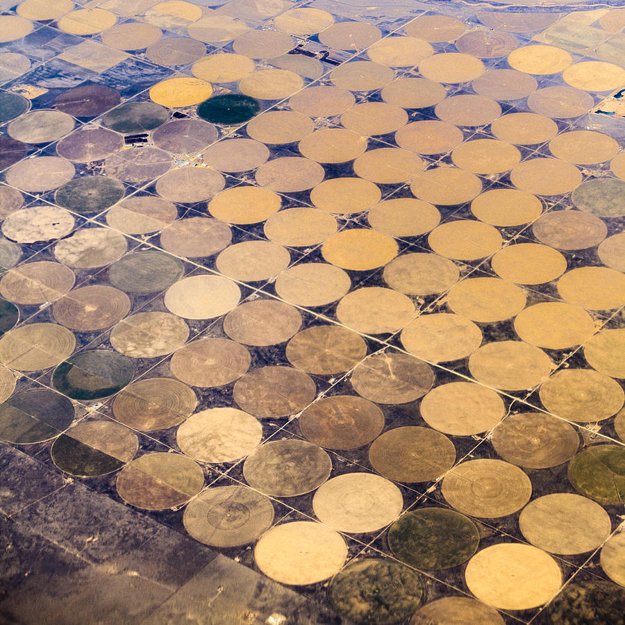 Abstract Photograph - Patchworks. Aerial view to Texass fields #3 by Alex Potemkin