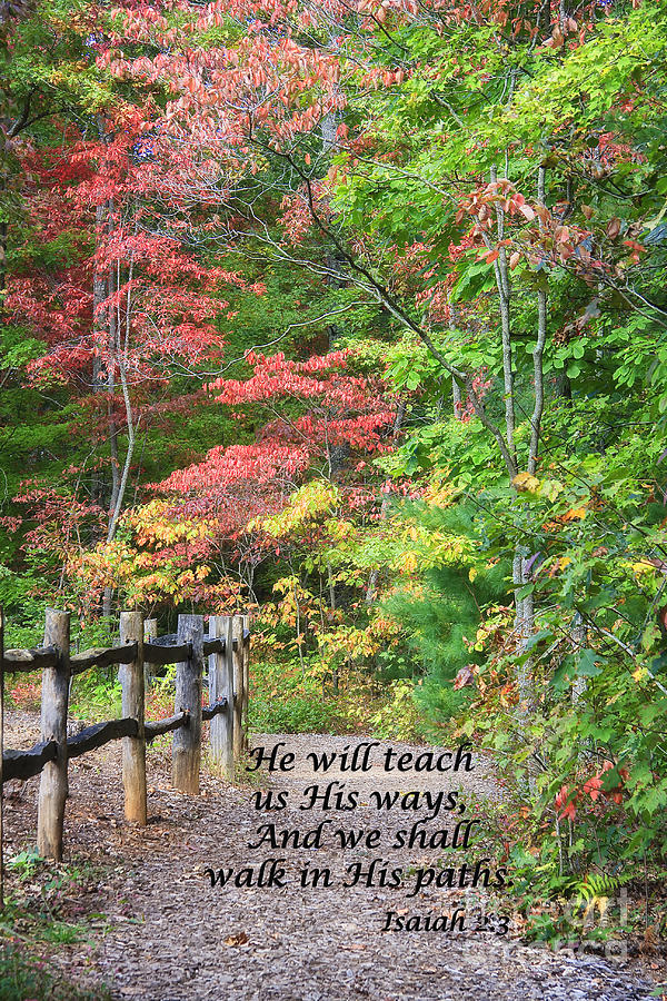 Path in Autumn Scripture #1 Photograph by Jill Lang