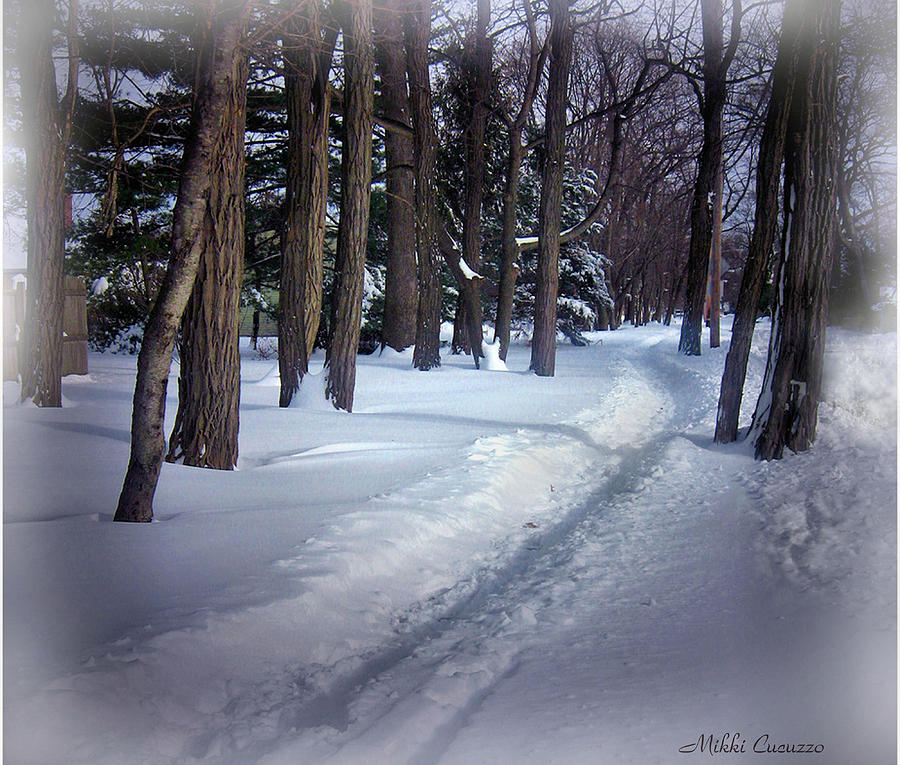 Path thru the woods #2 Photograph by Mikki Cucuzzo