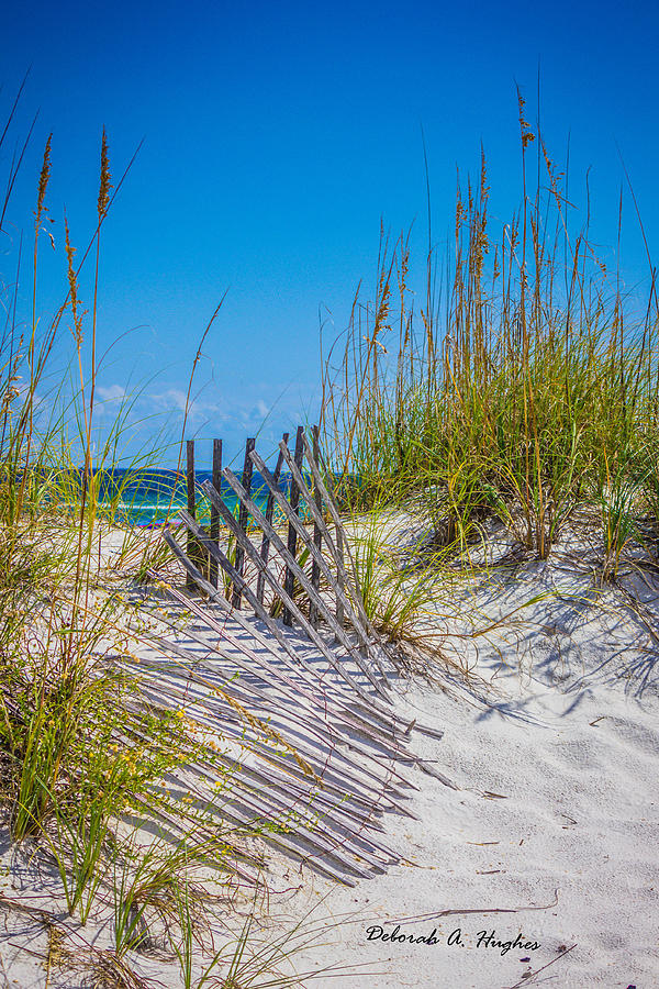 Pensacola Beach Photograph - Pathway by Deborah Hughes Pensacola Beach Photograph - Pathway by Deborah Hughes