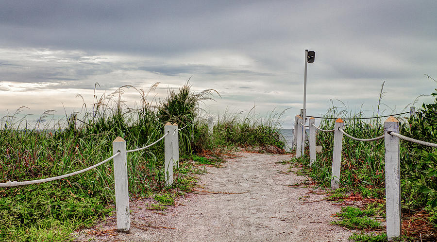 Pathway To The Beach Photograph