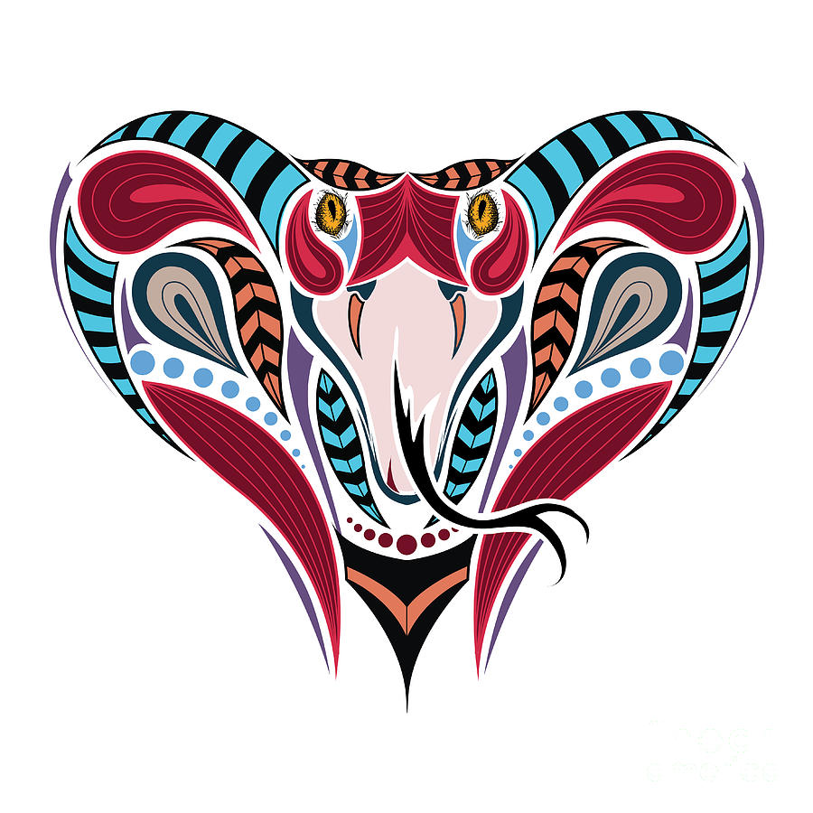 Cobra Digital Art - Patterned Colored Head Of The King by Sunny Whale Cobra Digital Art - Patterned Colored Head Of The King by Sunny Whale