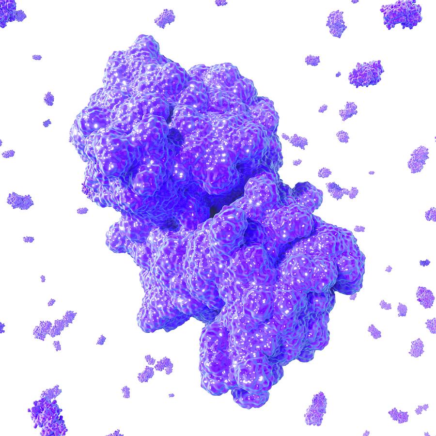 3-dimensional Photograph - Pcsk9 Enzyme Molecule #1 by Maurizio De Angelis