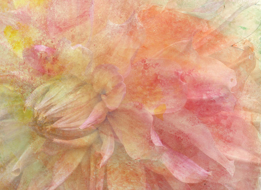 Peach Dahlia #1 Digital Art by Donna Walsh