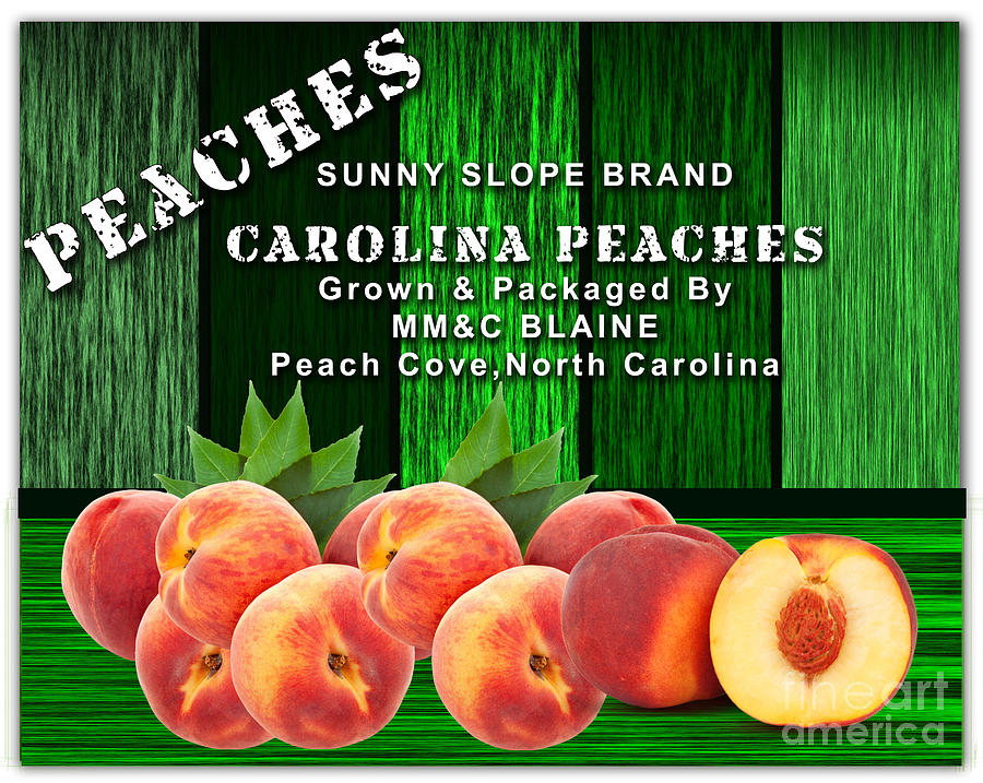 Fruit Mixed Media - Peach Farm #1 by Marvin Blaine
