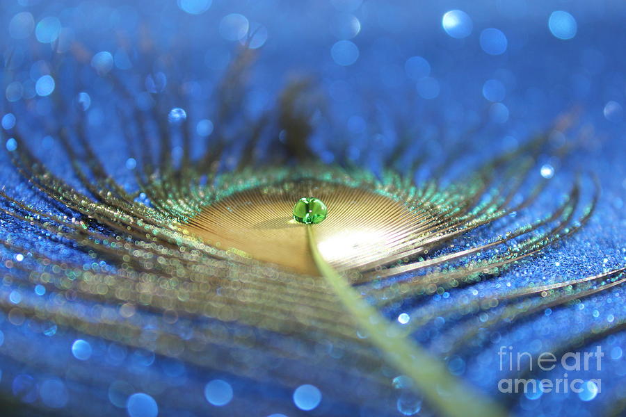 Peacock Jewel #1 Photograph by Krissy Katsimbras