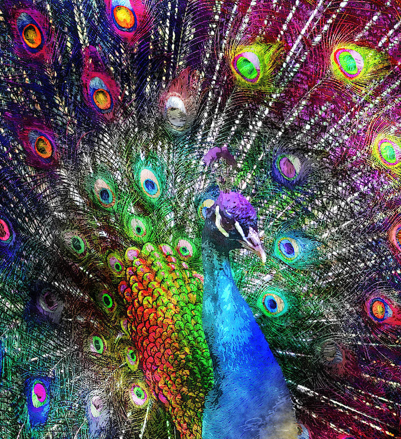 Peacock Painting by MotionAge Designs - Fine Art America