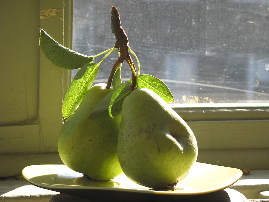 Pears From Our Garden #1 Photograph by Alfred Ng