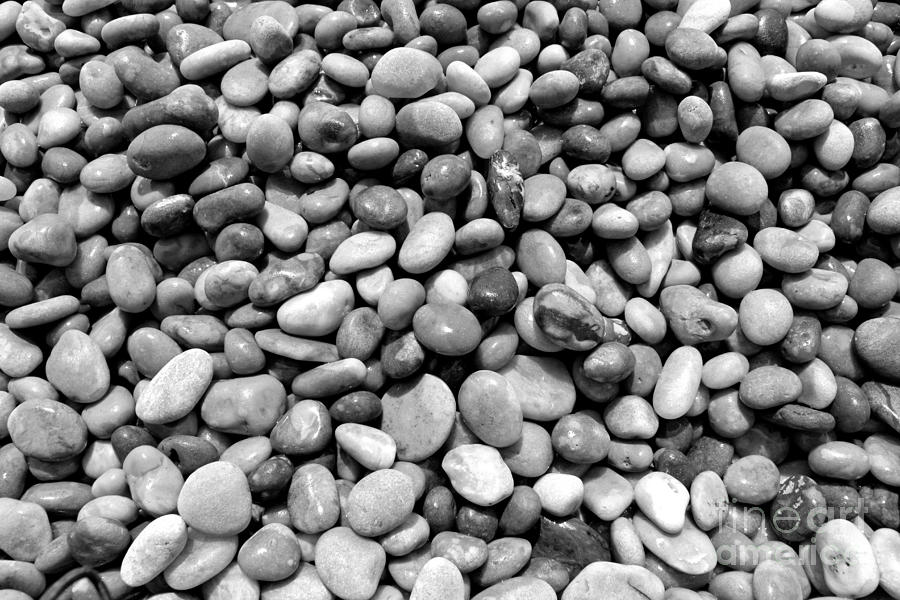 Pebble Beach #1 Photograph by Julia Gavin