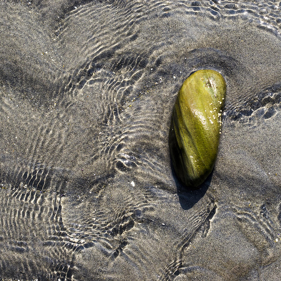 Pebble on Beach #2 Photograph by Steven Ralser