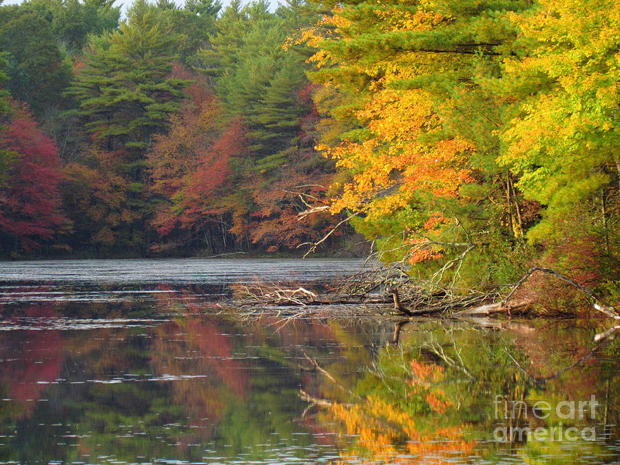Peck Pond Autumn Reflections #1 Photograph by Lili Feinstein