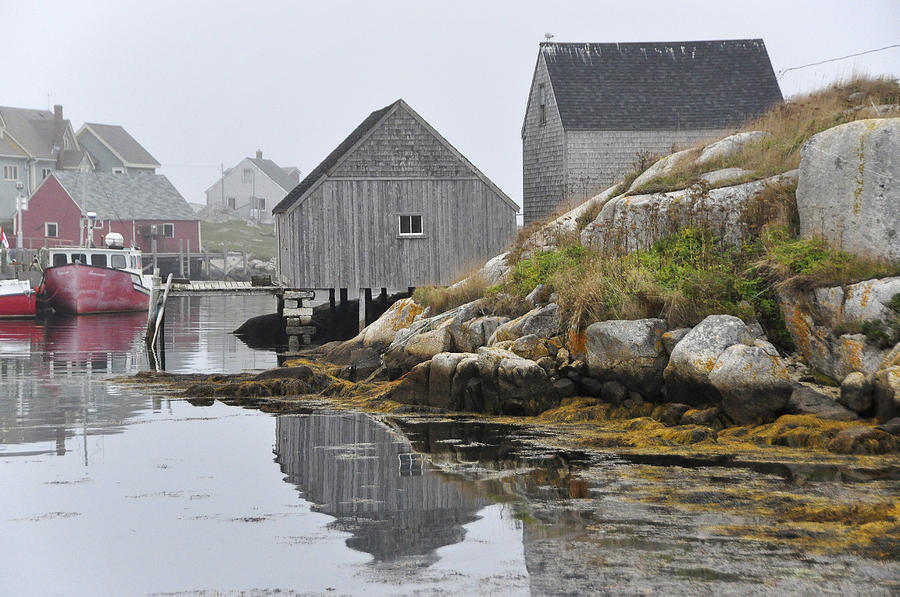 Peggys Cove Nova Scotia #1 Photograph by Wendy Elliott