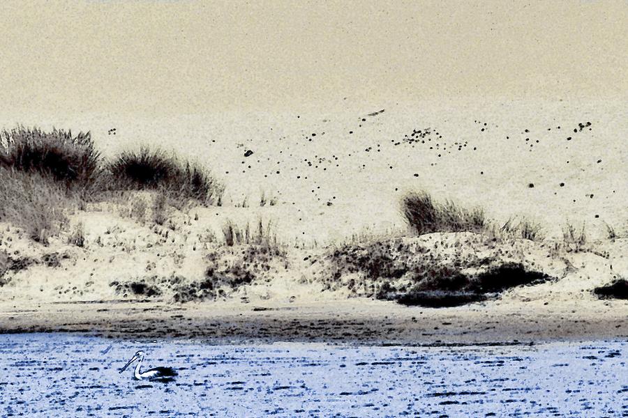Pelican at Coorong #1 Digital Art by Tim Richards
