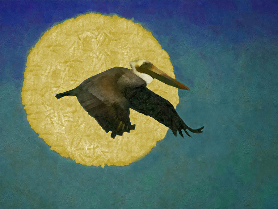 Pelican Digital Art - Pelican Fly By #1 by Ernest Echols