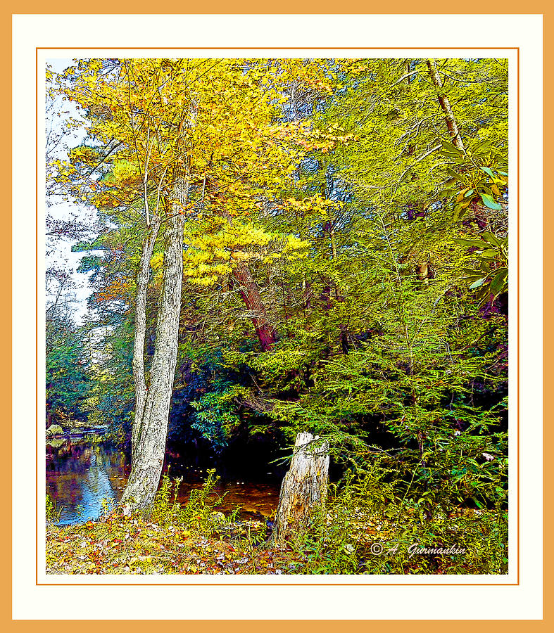 Pennsylvania Mountain Stream in Autumn #1 Photograph by A Macarthur Gurmankin