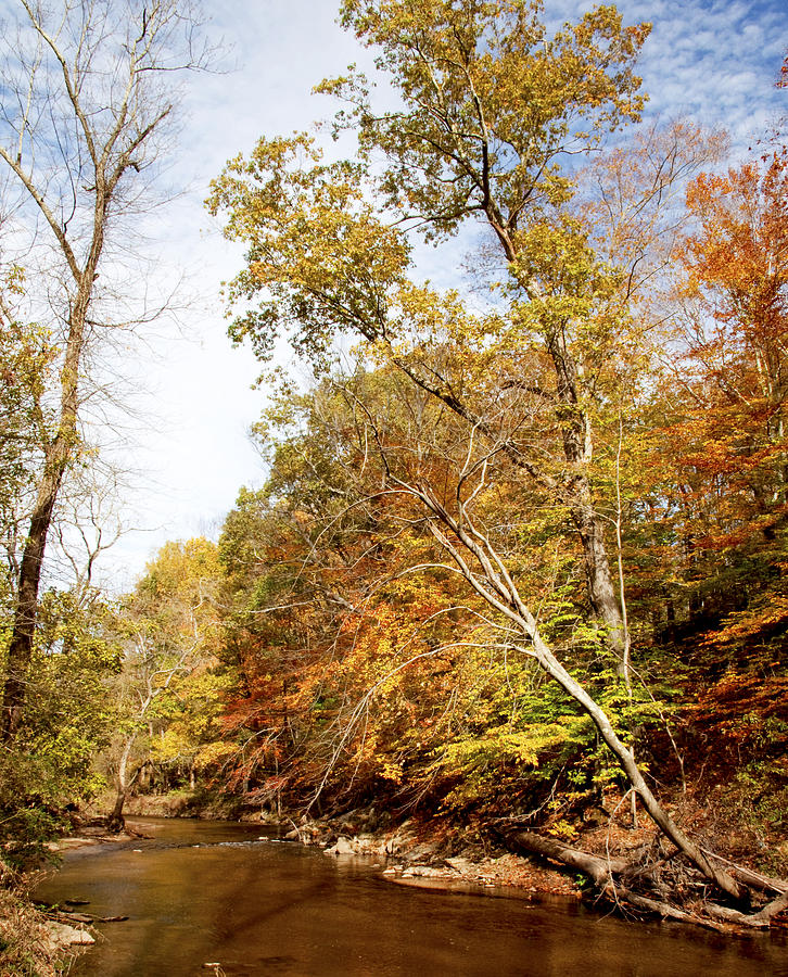 Pennsylvania Stream in Autumn #14 Photograph by A Macarthur Gurmankin