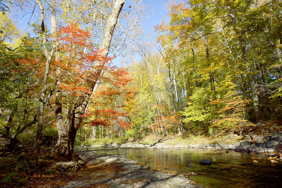 Philadelphia Photograph - Pennypack Creek in Autumn Philadelphia Pennsylvania #1 by A Macarthur Gurmankin