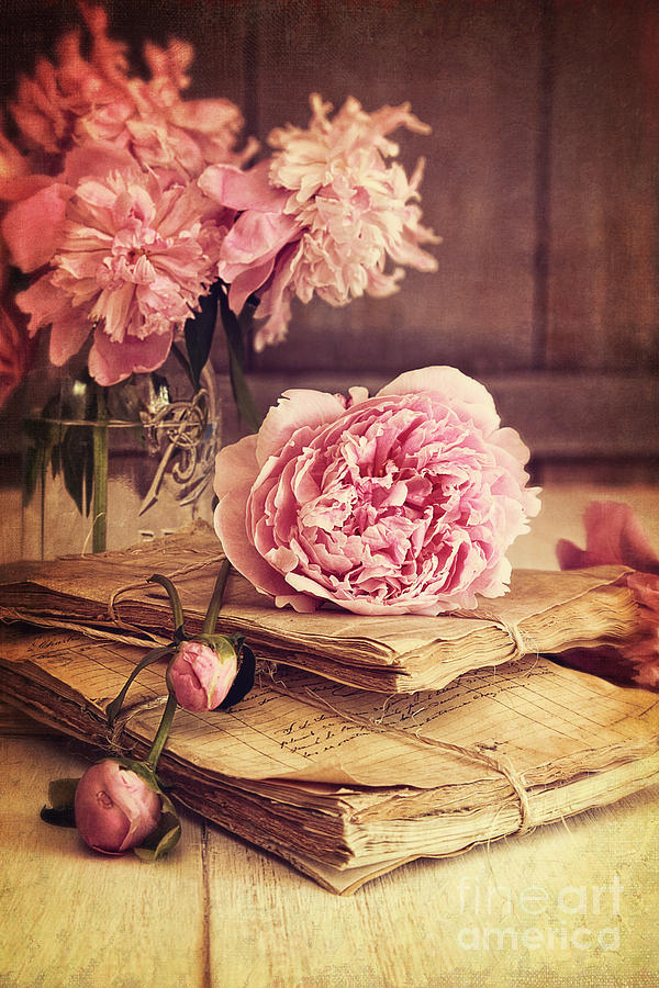 Peony flowers with vintage papers #1 Photograph by Sandra Cunningham