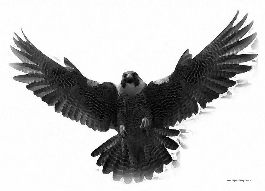 Peregrine Falcon #1 Painting by Wayne Bonney