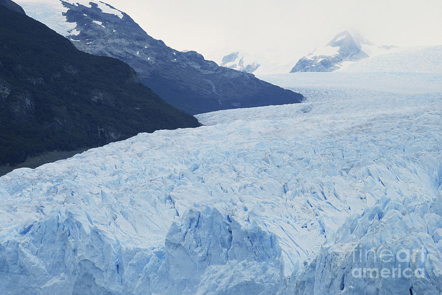 Perito Moreno Glacier #1 Photograph by Mark Newman