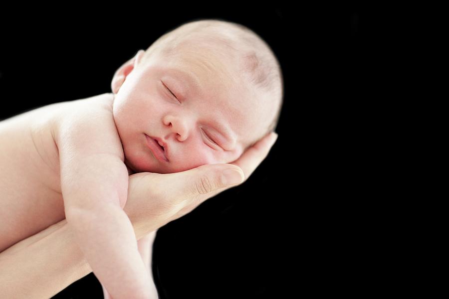 Person Holding Newborn Baby Photograph by Ian Hooton/science Photo ...