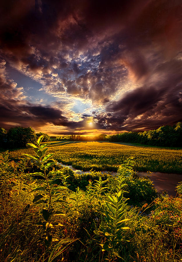 Landscape Photograph - Perspective #1 by Phil Koch