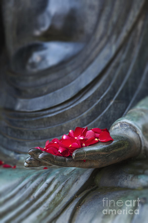 Buddha Photograph - Petals of Peace  by Tim Gainey