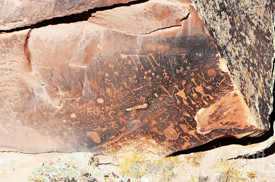 Petrified Forest National Park Photograph - Petroglyphs on Newspaper Rock Petrified Forest National Park #1 by Shawn OBrien