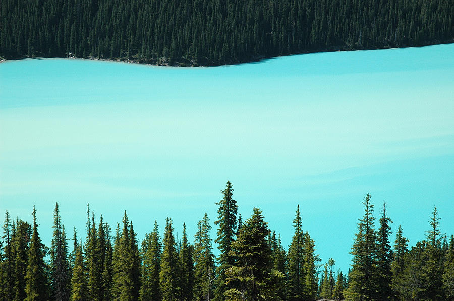 Peyto Lake. Banff National Park in Alberta. #2 Photograph by Rob Huntley