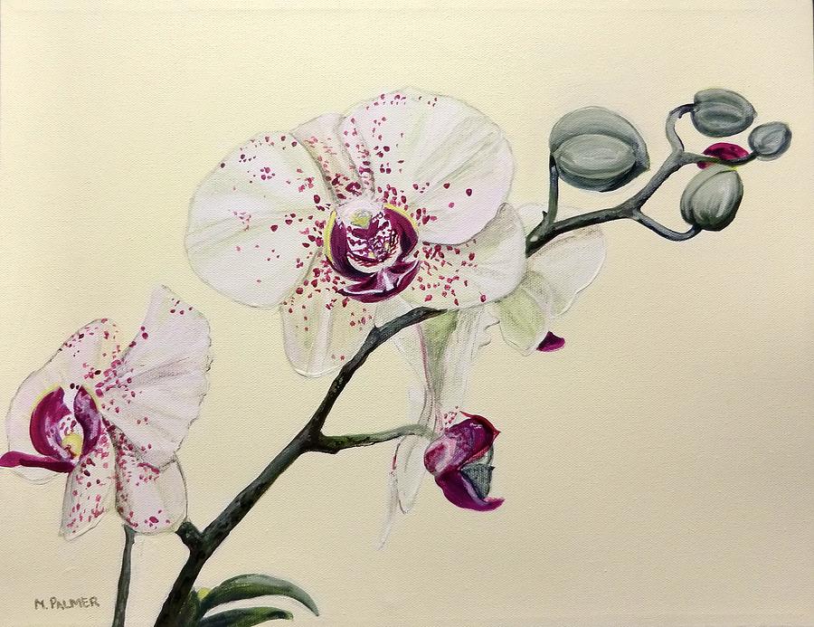 Phalaenopsis Black Panther Orchid Painting by Mary Palmer