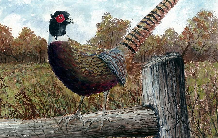 Pheasant Painting - Pheasant On Fence #1 by Steven Schultz