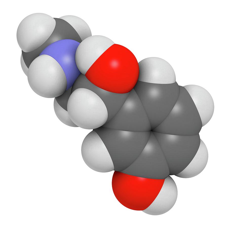 Phenylephrine Decongestant Drug Molecule Photograph by Molekuul Fine